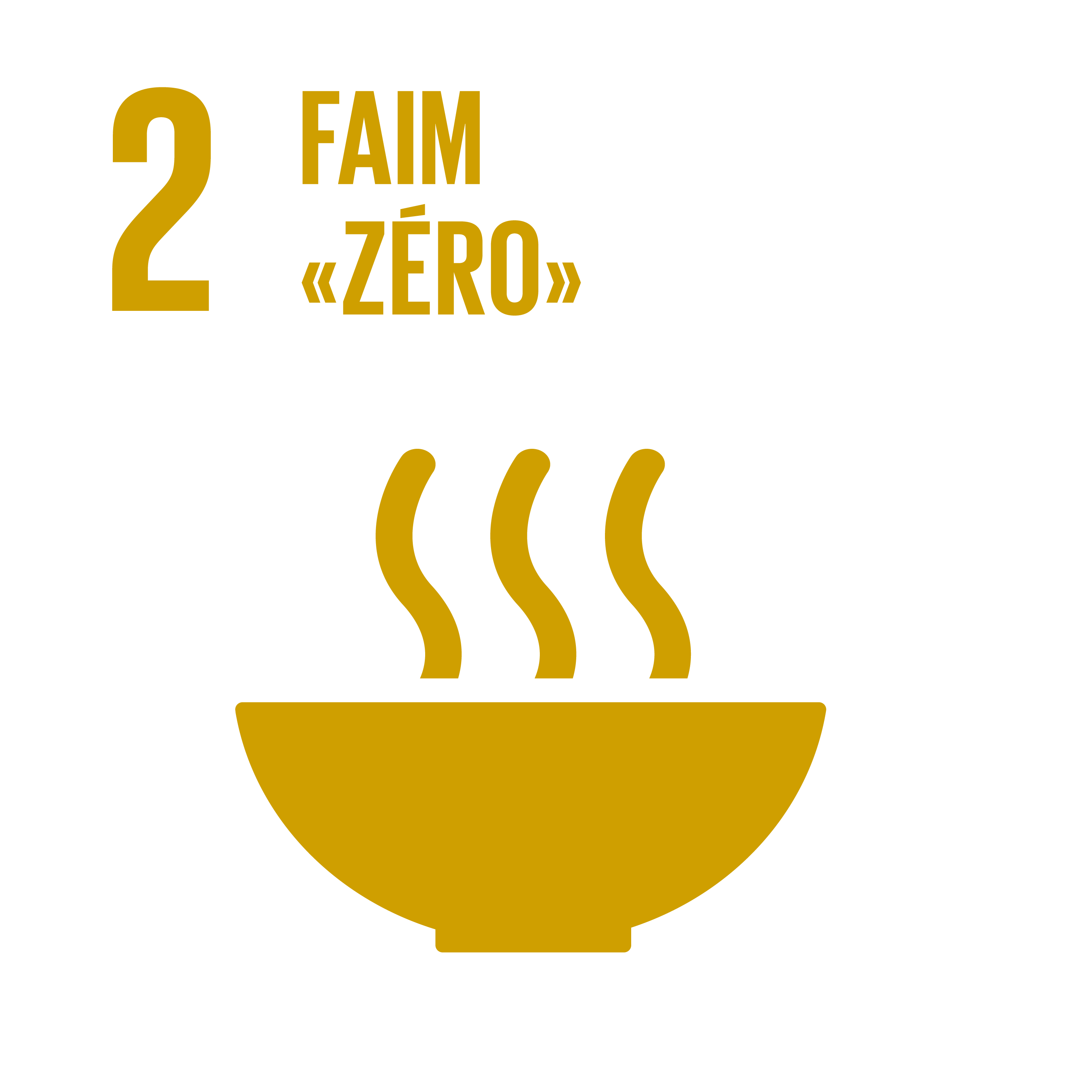 F_INVERTED SDG goals_icons-individual-cmyk-01