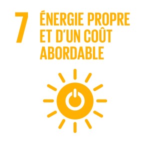 F_INVERTED SDG goals_icons-individual-cmyk-07