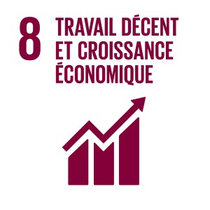 F_INVERTED SDG goals_icons-individual-cmyk-08