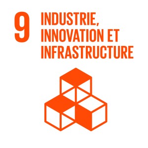 F_INVERTED SDG goals_icons-individual-cmyk-09