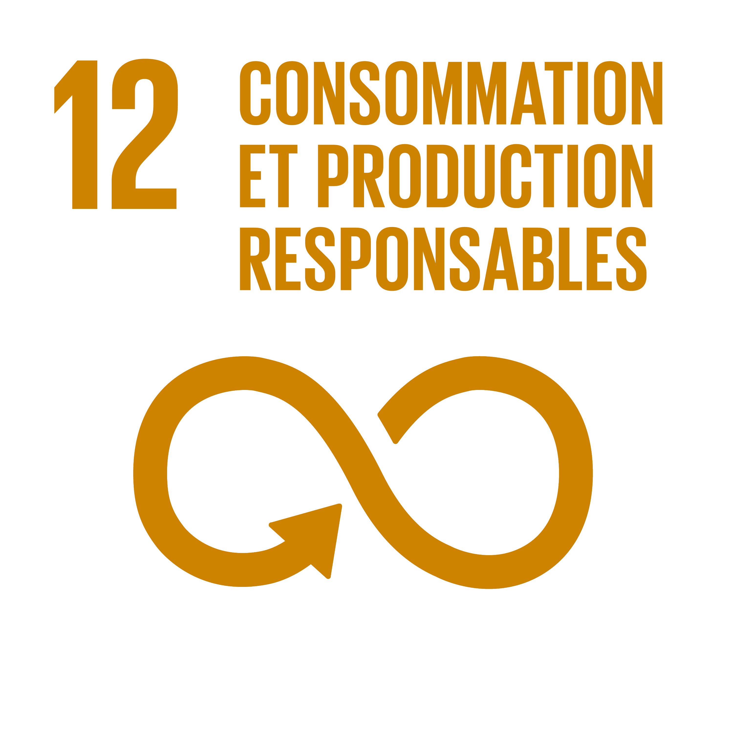 F_INVERTED SDG goals_icons-individual-cmyk-11