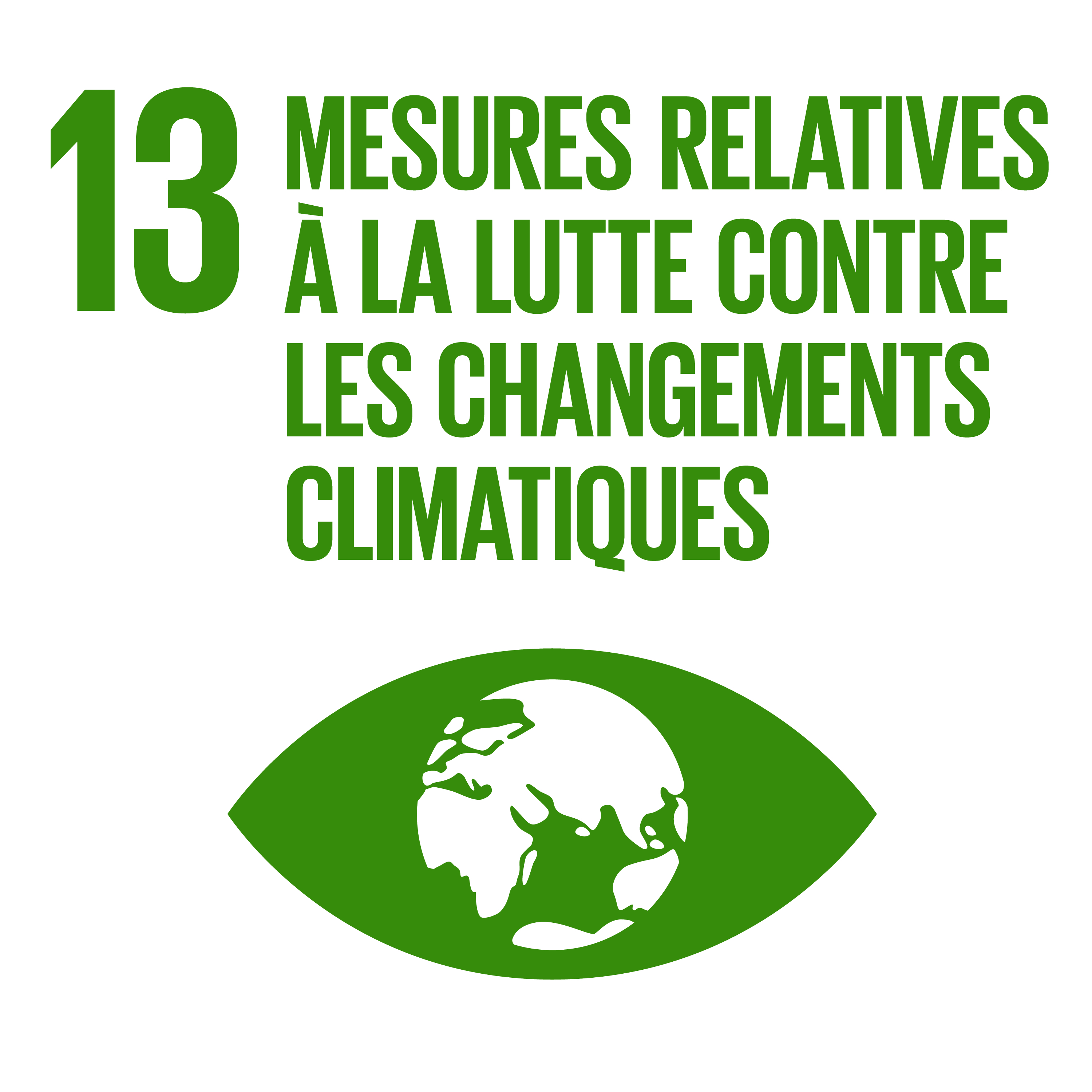 F_INVERTED SDG goals_icons-individual-cmyk-11