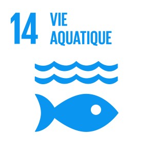 F_INVERTED SDG goals_icons-individual-cmyk-14